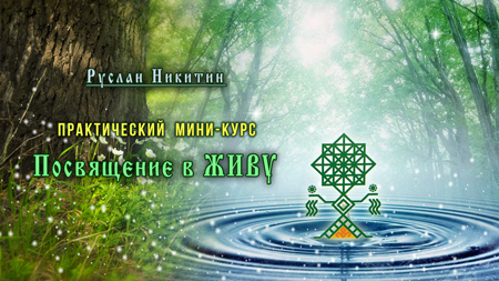 Посвящение в Живу Посвящение в Живу
