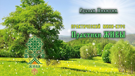 Практики ЖИВЫ Практики ЖИВЫ